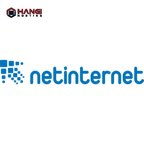 Netinternet